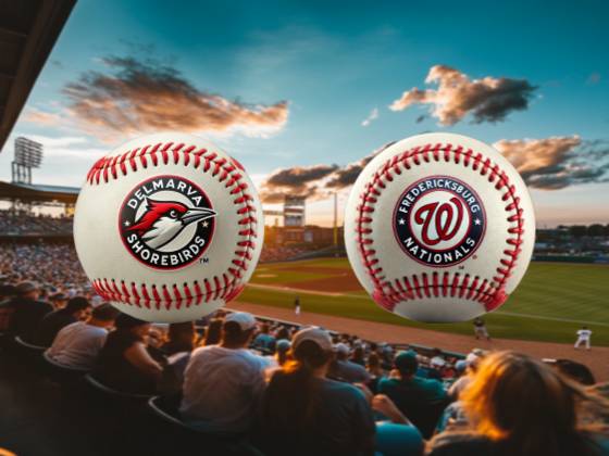 Fredericksburg Nationals vs. Delmarva Shorebirds